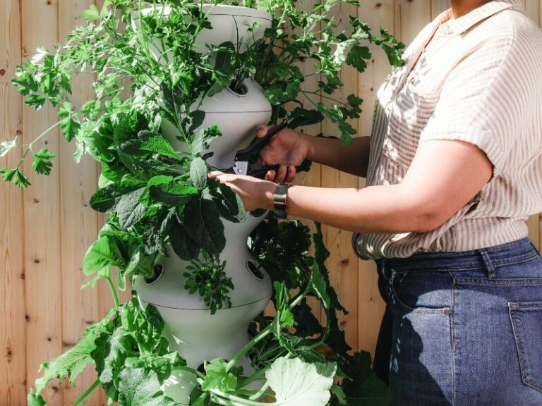 Zakupy online vs lokalne zakupy – kiedy opłaca się kupować na platformach ogłoszeniowych?