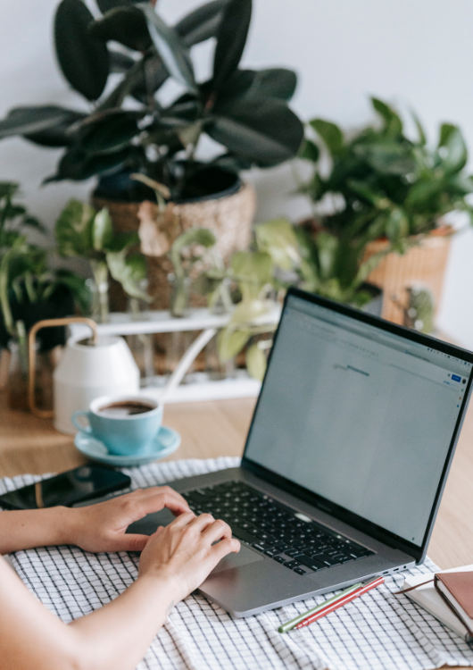 Jak bezpiecznie kupować online przez lokalne portale ogłoszeniowe? Poradnik dla kupujących